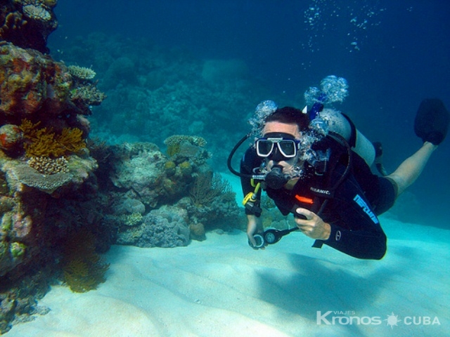 Scuba Diving in Havana - "Cursos de buceo de Certificación Internacional ACUC y SSI" La Habana