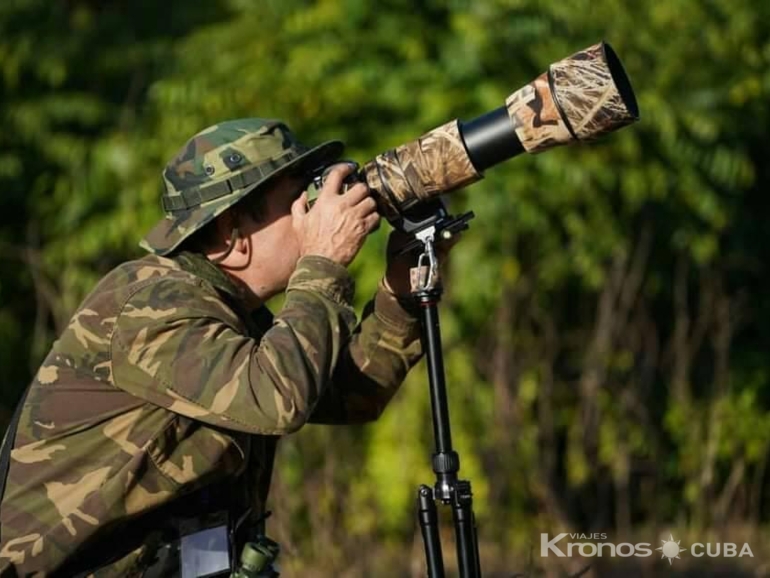 Birdwatching in Salinas de Brito - Nature Tour "Observación de Aves en Salinas de Brito”