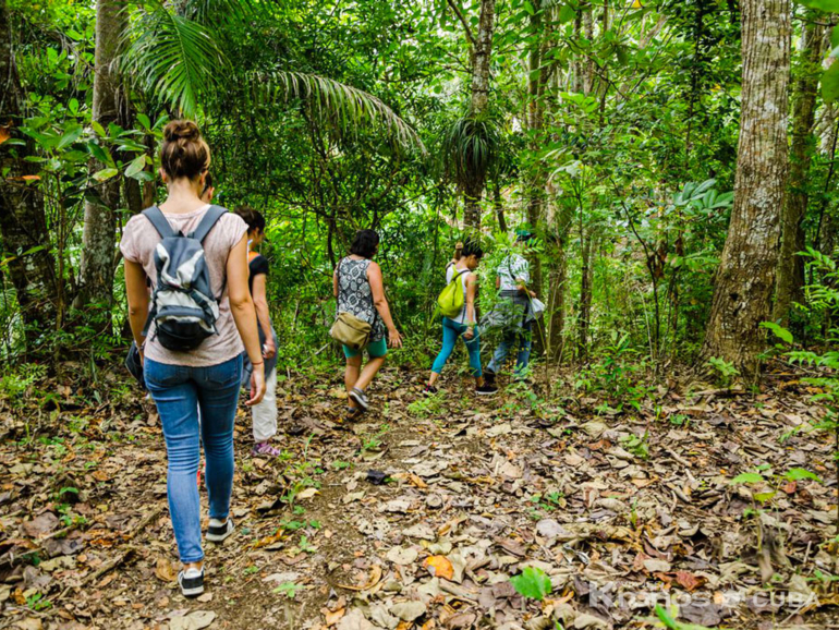 Las Delicias Trail tour, Las Terrazas - "Las Delicias Trail" tour, Las Terrazas