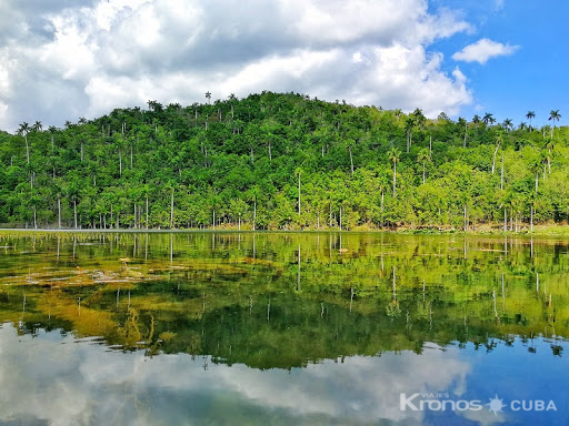 "Panoramic Tour of Las Terrazas" - “Recorrido Panorámico por Las Terrazas”