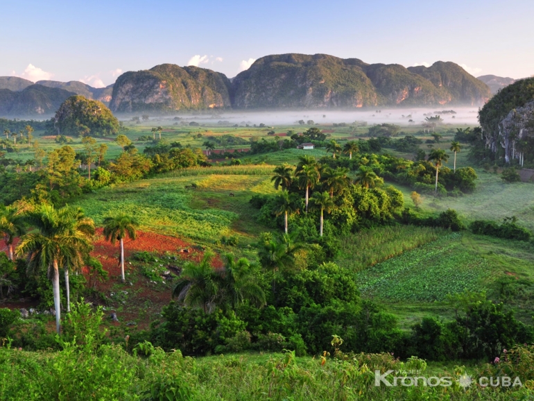  - Excursión “Visita a Viñales”