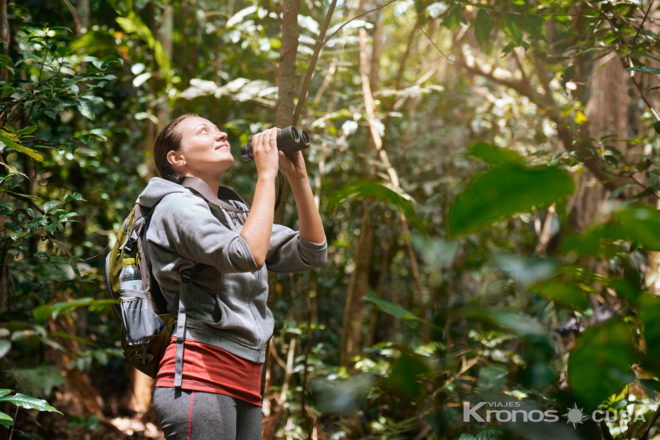  - Jeep Safari  “Nature Tour for Birdwatching in Enigma of the Rock Trail”