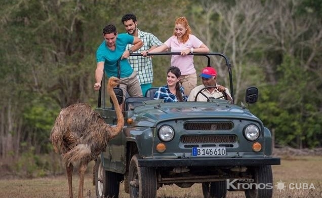 Jeep Safari cayo Saetia - Jeep Safari "Descubriendo Cayo Saetía"