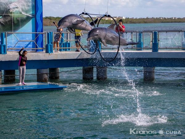 "Fantasy with Dolphins and Sea Lions" Tour - Excursión “Fantasía con Delfines y Lobos Marinos”