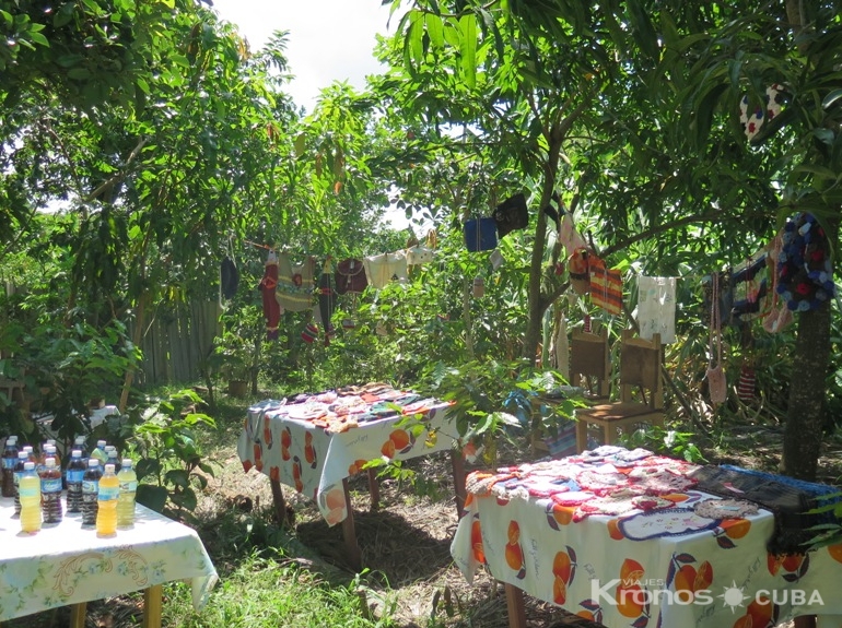 Patio: El Cimarron - "Visit to the Cultural Project "The Mountain and I - ”Visita al Proyecto Cultural “La Montaña y Yo”