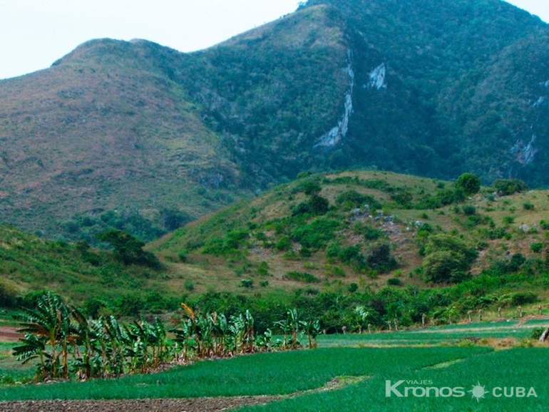 “To the Valley of the Mills and the Alturas de Banao Ecological Nature Reserve” Tour - Excursión “Al Valle de los Ingenios y a la Reserva Natural Ecológica Alturas de Banao”