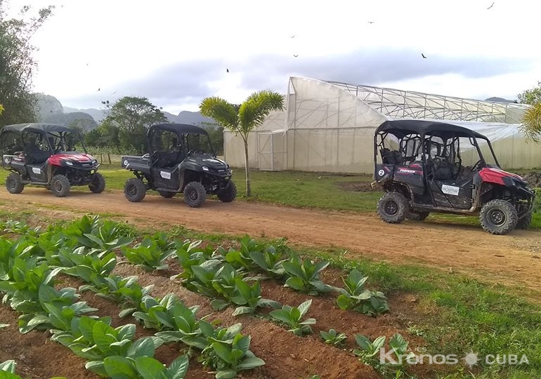 farm buggy tours