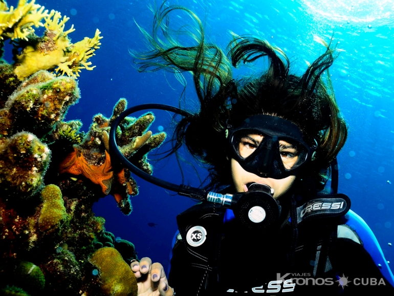 Scuba diving tour in Varadero - Excursión de “Buceo en Varadero”