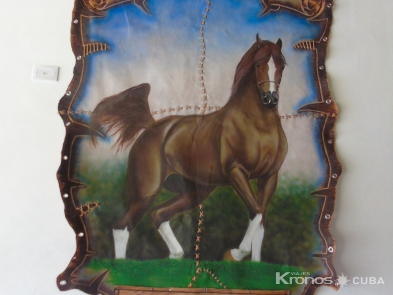 - Horseback riding Equestrian Centre
