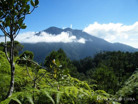 Turquino National Park panoramic view, Granma - "Turquino Peak Trekking Tour (3 Days and 2 Nights)"