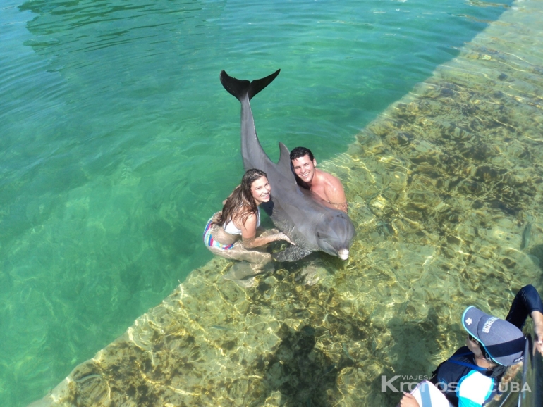 Swimming with dolphins tour at Cayo Santa María dolphinarium - “Swimming with Dolphins in Cayo Santa María“ Tour