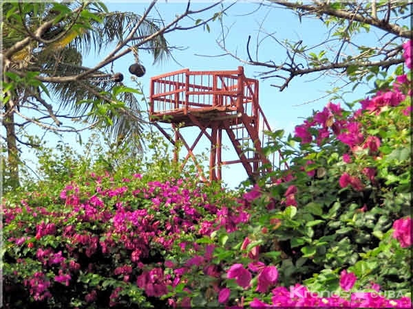 Viewpoint, Canagua hill - Jeep Safari “Nature Tour (Loma de Cunagua)”