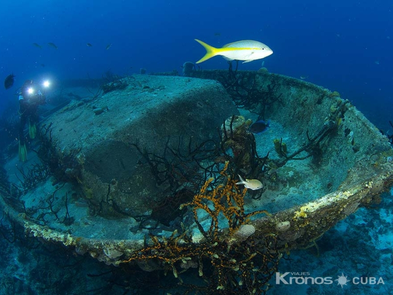 Scuba diving tour in Bahía de Cochinos, Matanzas - Scuba Diving Tour in Bahía de Cochinos