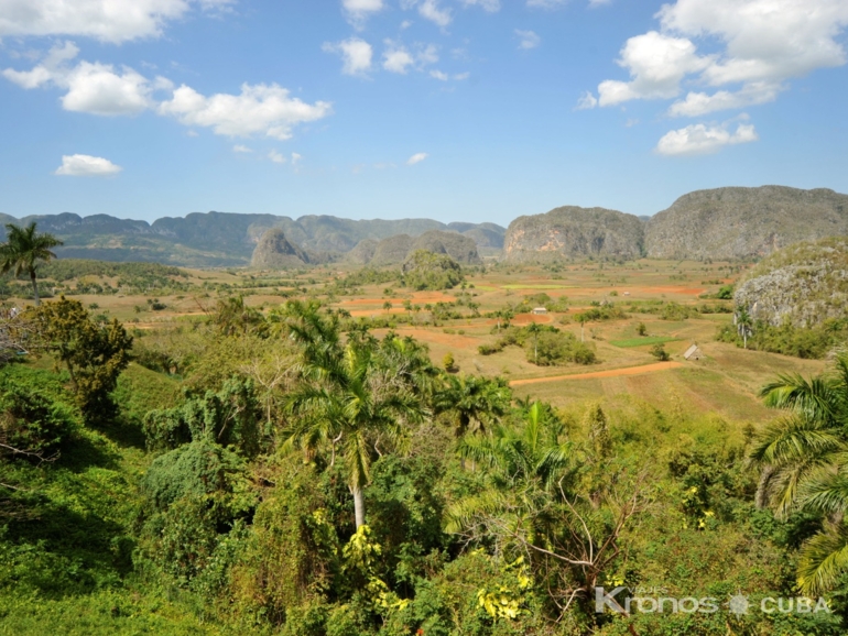  - Excursión “PINAR DEL RIO & VIÑALES EN CARRO CLASICO”