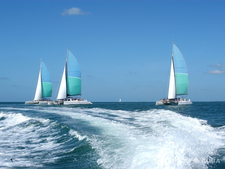 Seafari Cayo Blanco Tour - Excursión “Seafari Cayo Blanco Plus”