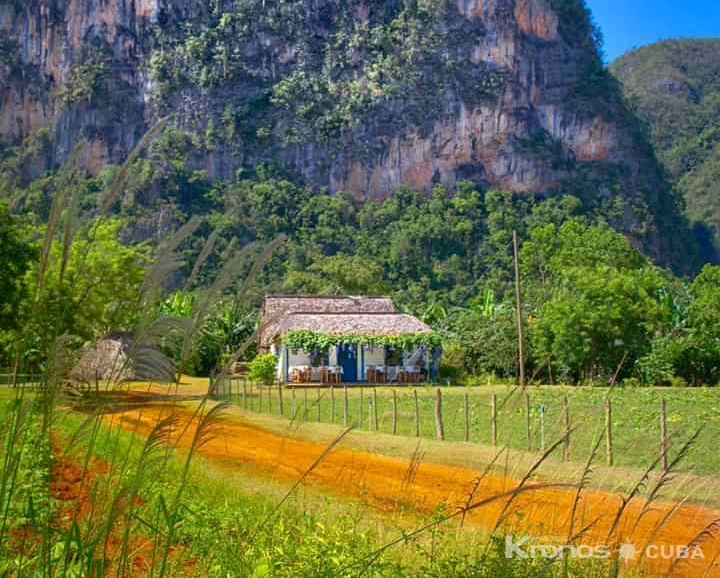 “Ride to Soroa -Viñales in Old Fashion American Classic Cars” Tour- - Excursión “Paseo a Soroa y Viñales en Carros Clásicos Americanos”