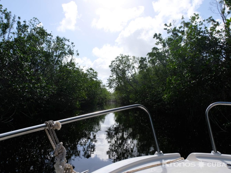 "Marine Adventure"Tour - Excursión “Aventura Marina”