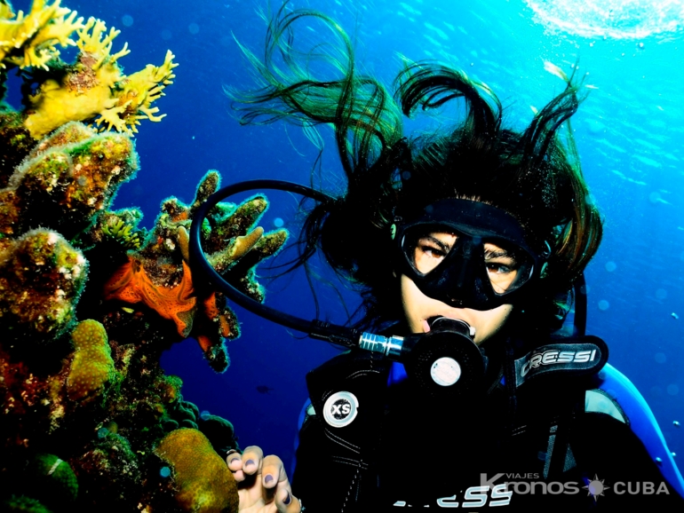 Diving in Havana - "ACUC and SSI  International Certification Dive Courses" Tarará.