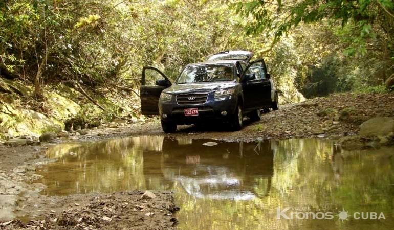  - Jeep Tour "Rota do café ocidental"