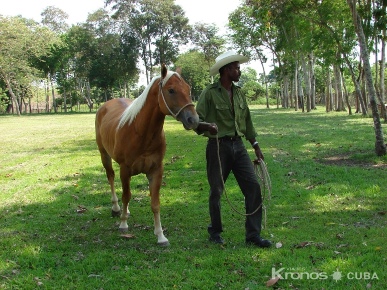 Giro farm, Santiago de Cuba - "Giro Legends and Traditions Tour"