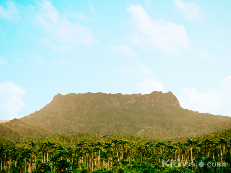  - Jeep Tour "El Yunque Aventura en Jeep"