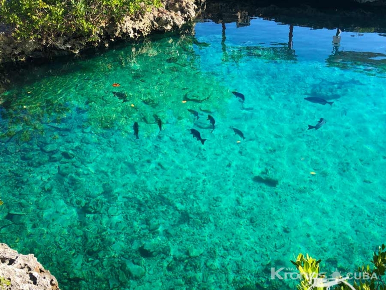 Cueva de los Peces panoramic view - Excursión "Guamá - Snorkeling"