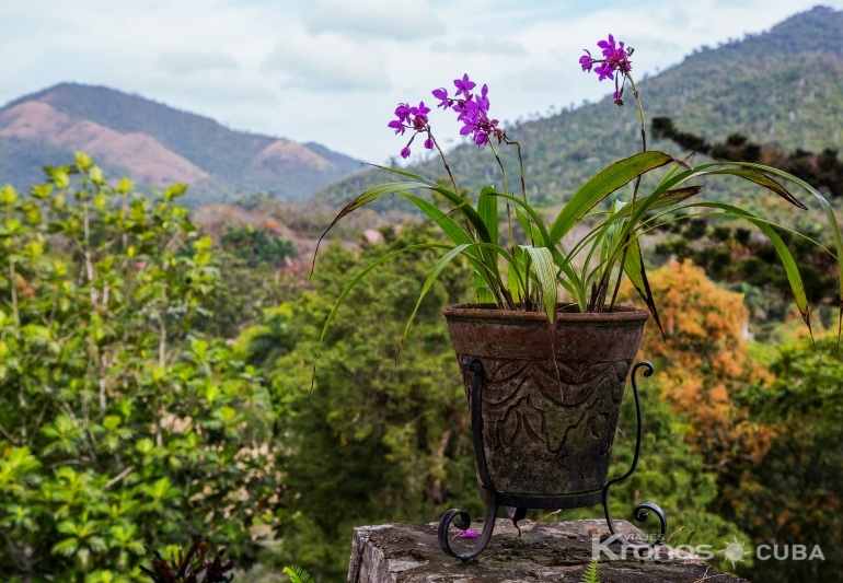 “Ride to Soroa & Las Terrazas in Old Fashion American Classic Cars” Tour - “Ride to Soroa & Las Terrazas in Old Fashion American Classic Cars” Tour