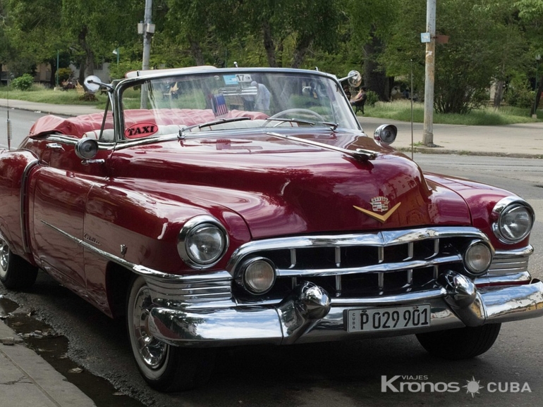 Tour in classic cars, Ciego de Ávila city - Excursión “Espectacular paseo en autos clásicos por Ciego de Ávila”