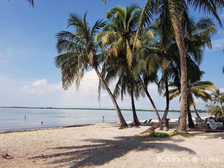 “Ride to Playa Larga and Playa Girón in Old Fashion American Classic Cars” Tour - “Ride to Playa Larga and Playa Girón in Old Fashion American Classic Cars” Tour