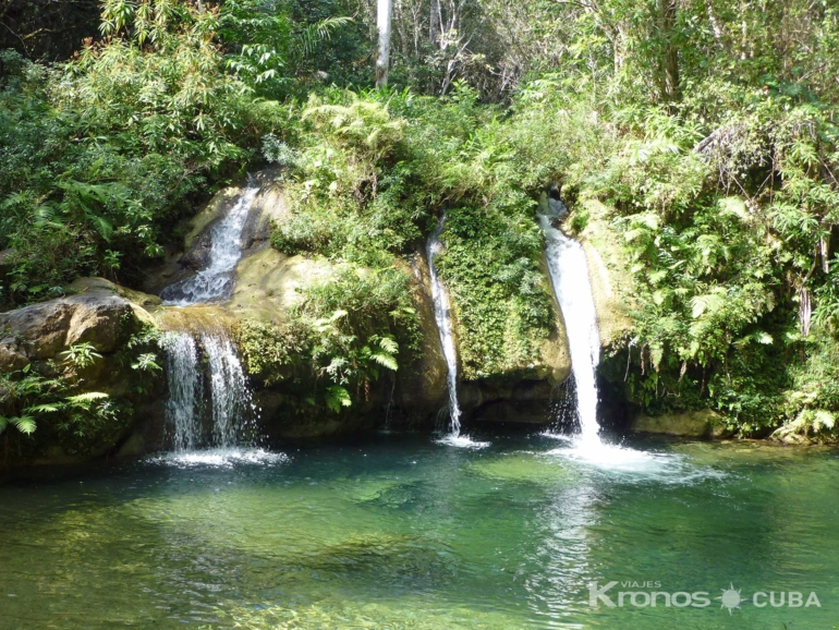 Alturas de Banao Ecological Reserve - Jeep Seafari "Nature Tour Trinidad"