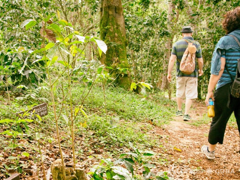 "La Serafina Trail tour", Las Terrazas - Excursión "Sendero La Serafina