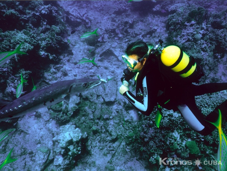 Scuba diving tour in Holguín - Excursión de Buceo en Holguín