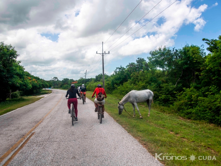  - “EL PILÓN TRAIL” Cycling tour