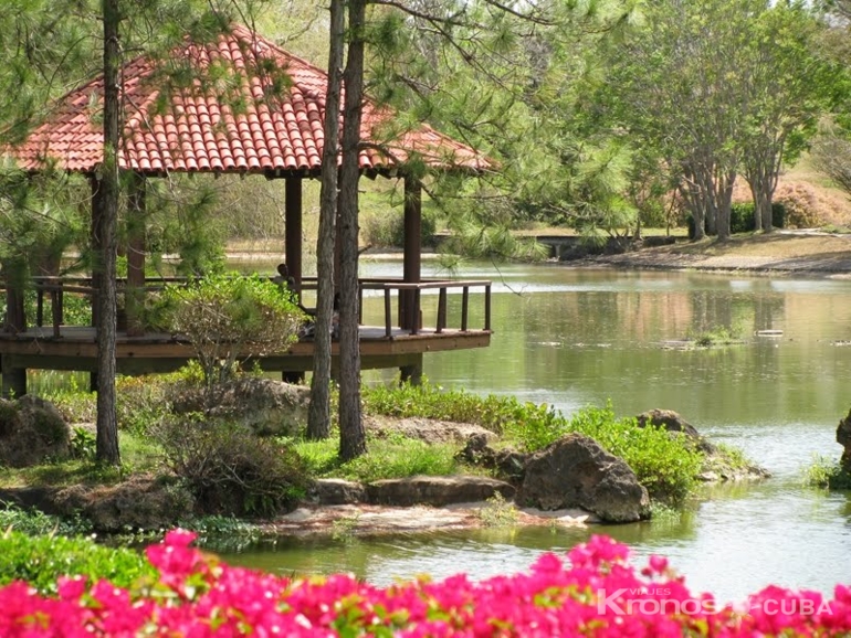 Japanese Garden at National Botanical Garden - “National Botanical Garden” Tour
