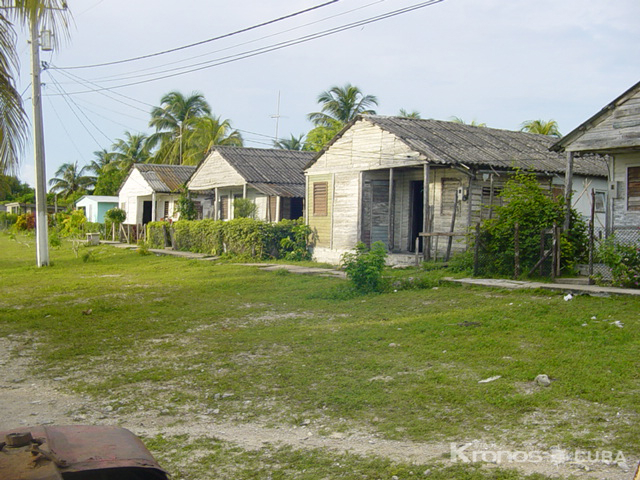 Jacksonville, pueblo cocodrilo - "Jacksonville a Stop in Time"