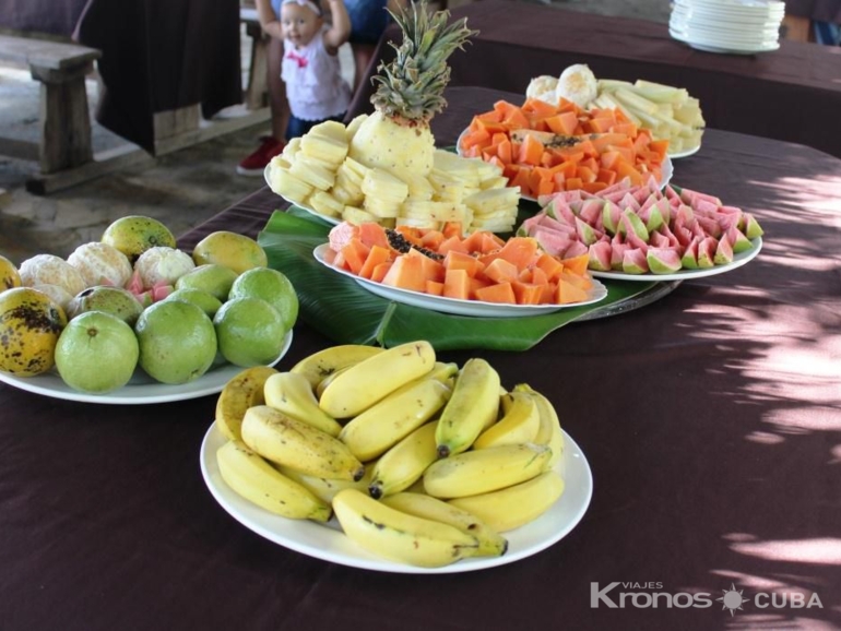 Farm Vista Hermosa - Jeep Safari " Tour Farm Vista Hermosa"