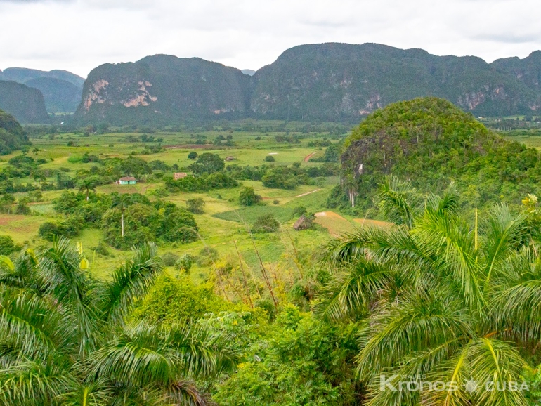  - Excursión “Tour en Viñales”