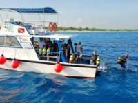 Scuba diving in open sea