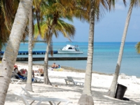 Panoramic beach view