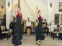 The Flamenco music at the restaurant