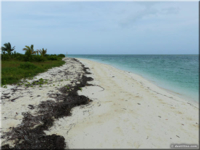 Cayo Guillermo beach