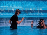 Diving lesson at the pool