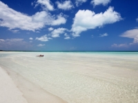 Panoramic beach view