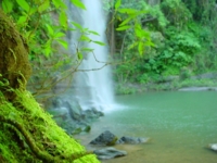 A beautiful 30 m high cascade falls