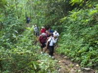 Trekking Tours