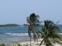 Beach view