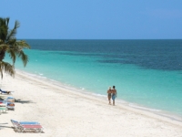 Panoramic beach view