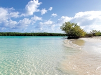 Panoramic beach view