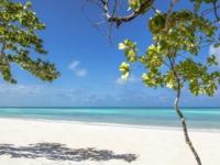 Panoramic beach view