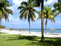 Panoramic beach view